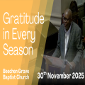 Gratitude in Every Season